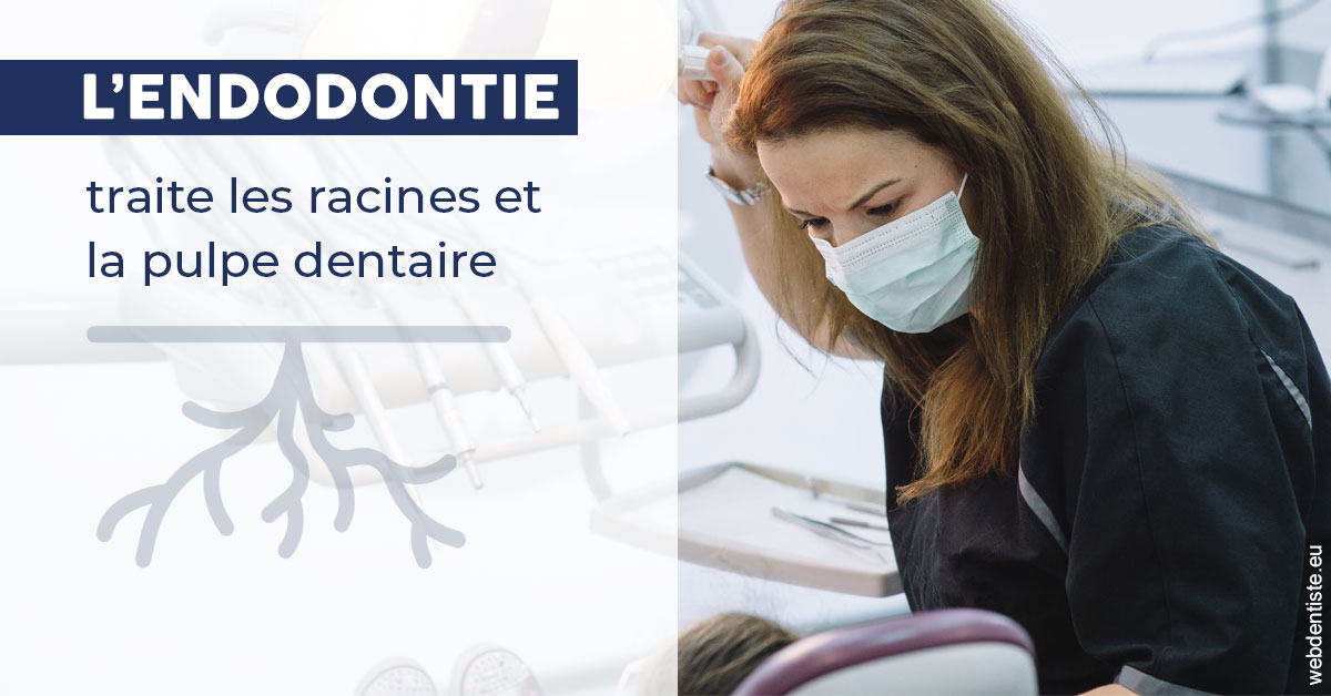 https://www.dr-paradisi.com/L'endodontie 1
