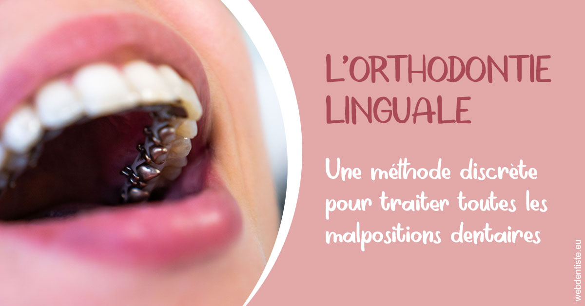 https://www.dr-paradisi.com/L'orthodontie linguale 2