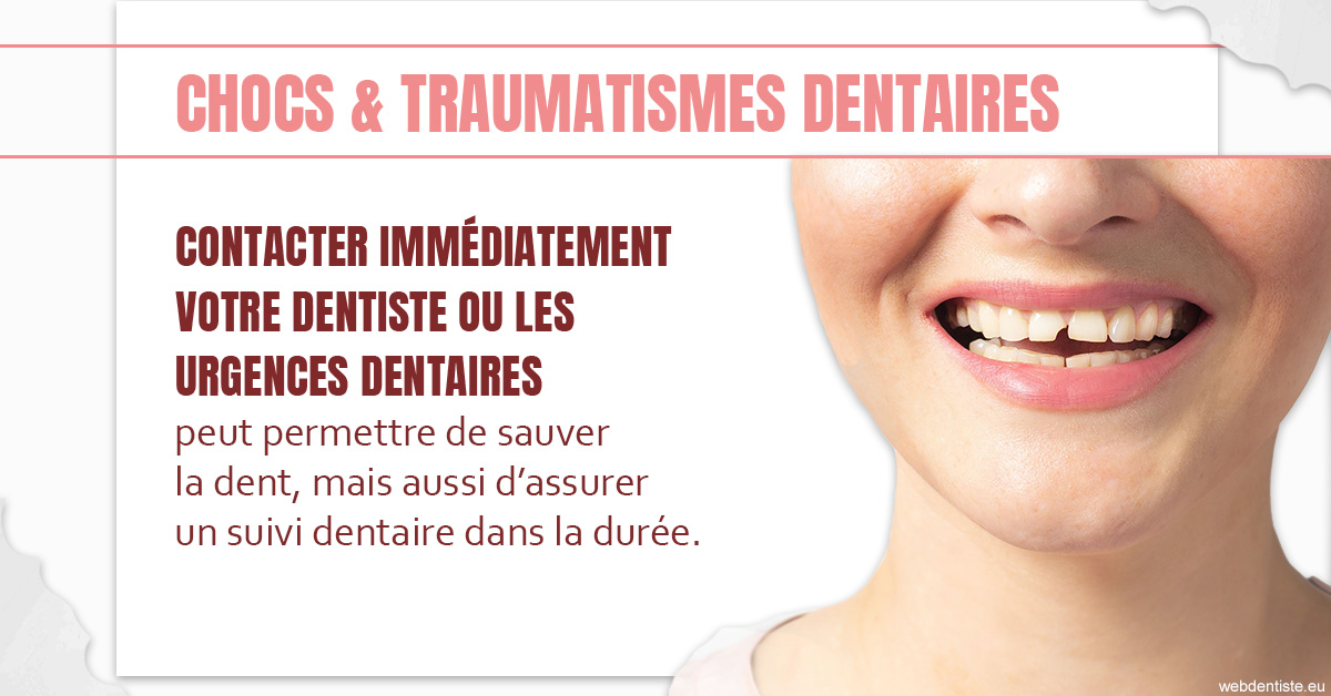 https://www.dr-paradisi.com/2023 T4 - Chocs et traumatismes dentaires 01