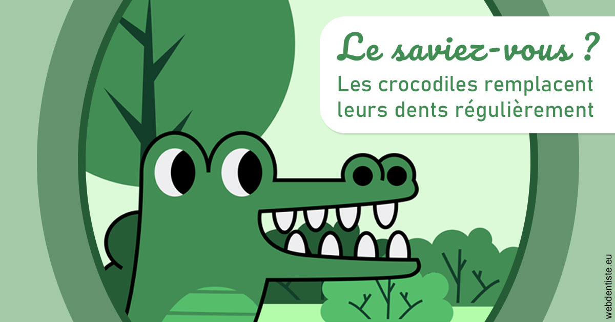 https://www.dr-paradisi.com/Crocodiles 2