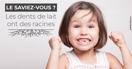 https://www.dr-paradisi.com/Les dents de lait