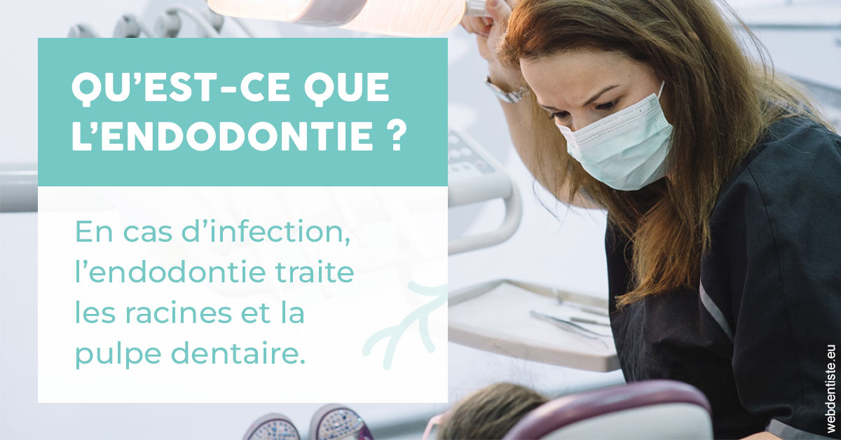 https://www.dr-paradisi.com/2024 T1 - Endodontie 01