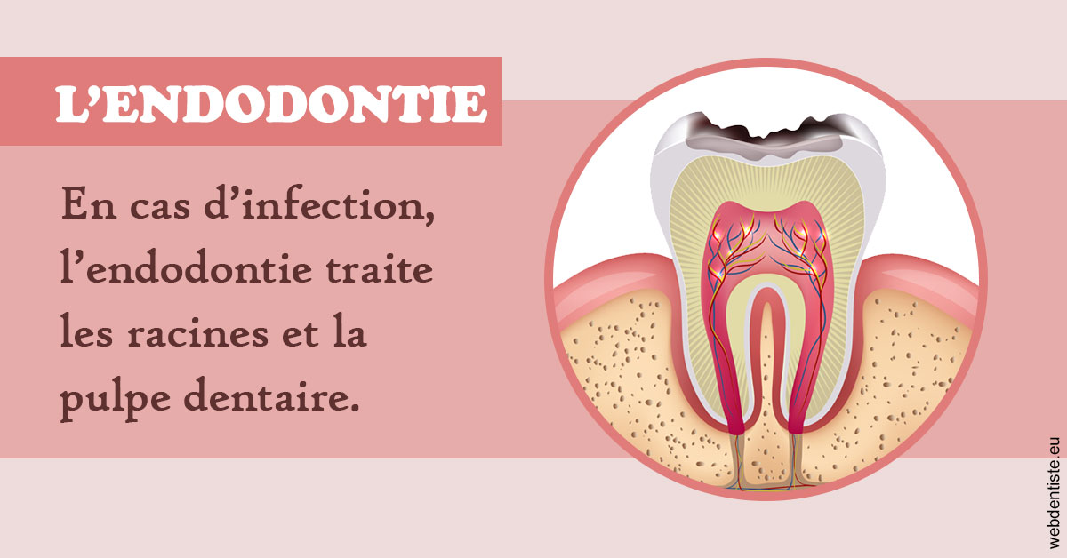 https://www.dr-paradisi.com/L'endodontie 2